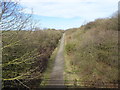 Former Sunderland-Durham railway line near Haverley House