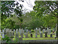 Allenvale Cemetery (2)