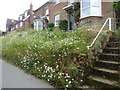 Mount Pleasant Cottages