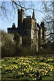 ST1776 : Cardiff - Bute Park Daffodils and Cardiff Castle by Colin Park