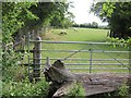 Little Morrell Farmland