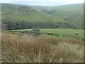 Ruin at Hey Green, above the Wessenden valley