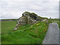 Q8641 : Castles of Munster: Pookeenee, Kerry (1) by Garry Dickinson