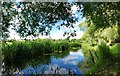 River Avon, near Upavon