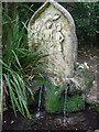 ST7467 : A carving of Christ at the holy well by Neil Owen