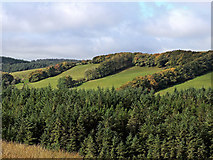SN7253 : Forest and hill farm near Esgair Llethr, Ceredigion by Roger  D Kidd