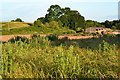 View across Morrisholt Farm