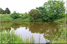 NO3601 : Myreside Pond by Bill Kasman