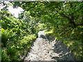 A wet part of Scaly Lane, Fulstone, New Mill