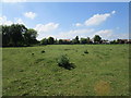 Grass field at the centre of Boothby Pagnell