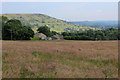 View from Heathy Lane