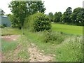 Footpath from Lowdham