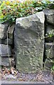 Benchmark on stone post in wall on south side of Wadsworth Lane