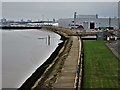 Alexandra Dock, Kingston upon Hull