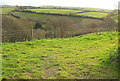 Track above Huntshaw Water