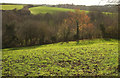 Field, Huntshaw Water