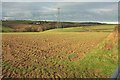 Pylon and farmland, Huntshaw