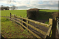 Fence, gates and hedge