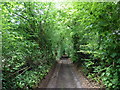 Path to Shipham Lane