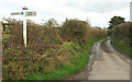 Lane near Weare Giffard