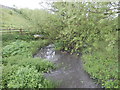 Fryston Beck