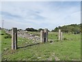 NZ0747 : Stone gateposts near Charlton Howl by Adrian Taylor