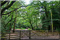 Woodbury : Footpath