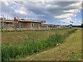 Reeds and new building on Upton Valley Way North