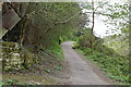 Footpath, Still Green