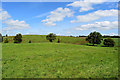 Cavanacaw Upper Townland