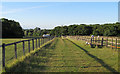 Track through paddocks, near Kerialee Stud Farm, Stondon Massey