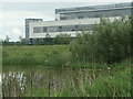 Heron on the southern shore, western lake, Calder Park