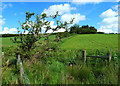 Fields at Glastron Farm