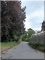 Looking from Crichmere Lane into Manor Crescent