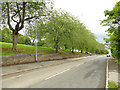 Fawcett Lane, Lower Wortley