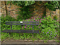 Western Flatts Cliff Park: bench with war memorial