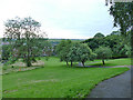 Western Flatts Cliff Park: paths