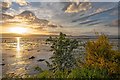 NH7046 : Moray Firth Sunset by valenta