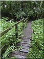 SP5606 : Footpath in the C.S. Lewis Nature Reserve by Steve Daniels