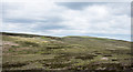 NY7919 : Moorland on south side of Tarn Gill by Trevor Littlewood
