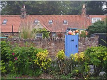 NT6678 : A Cottage in Belhaven by Jennifer Petrie