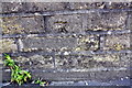 Benchmark on wall in front of Green Lane Nursery School