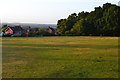 Evening view across the green at Nomansland