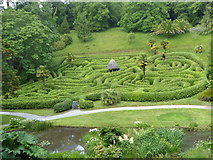 SW7727 : The maze at Glendurgan Gardens by Rod Allday