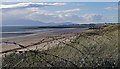 NS2739 : Dunes above Ardeer Beach, Ayrshire by Claire Pegrum