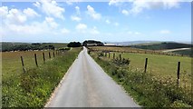TQ4605 : Track heading SSW towards Blackcap Farm by Ian Cunliffe