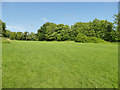 Oakwell Country Park - open space