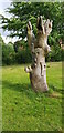 SP0980 : Carved Tree Statue, Chinn Brook Recreation Ground by Paul Collins
