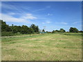 TF4917 : Grass field and Stickfast Lane by Jonathan Thacker
