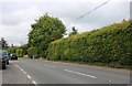 Blandford Road, Iwerne Minster